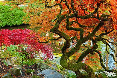黎明杀机冬促福利回归，你绝对不能错过的活动！